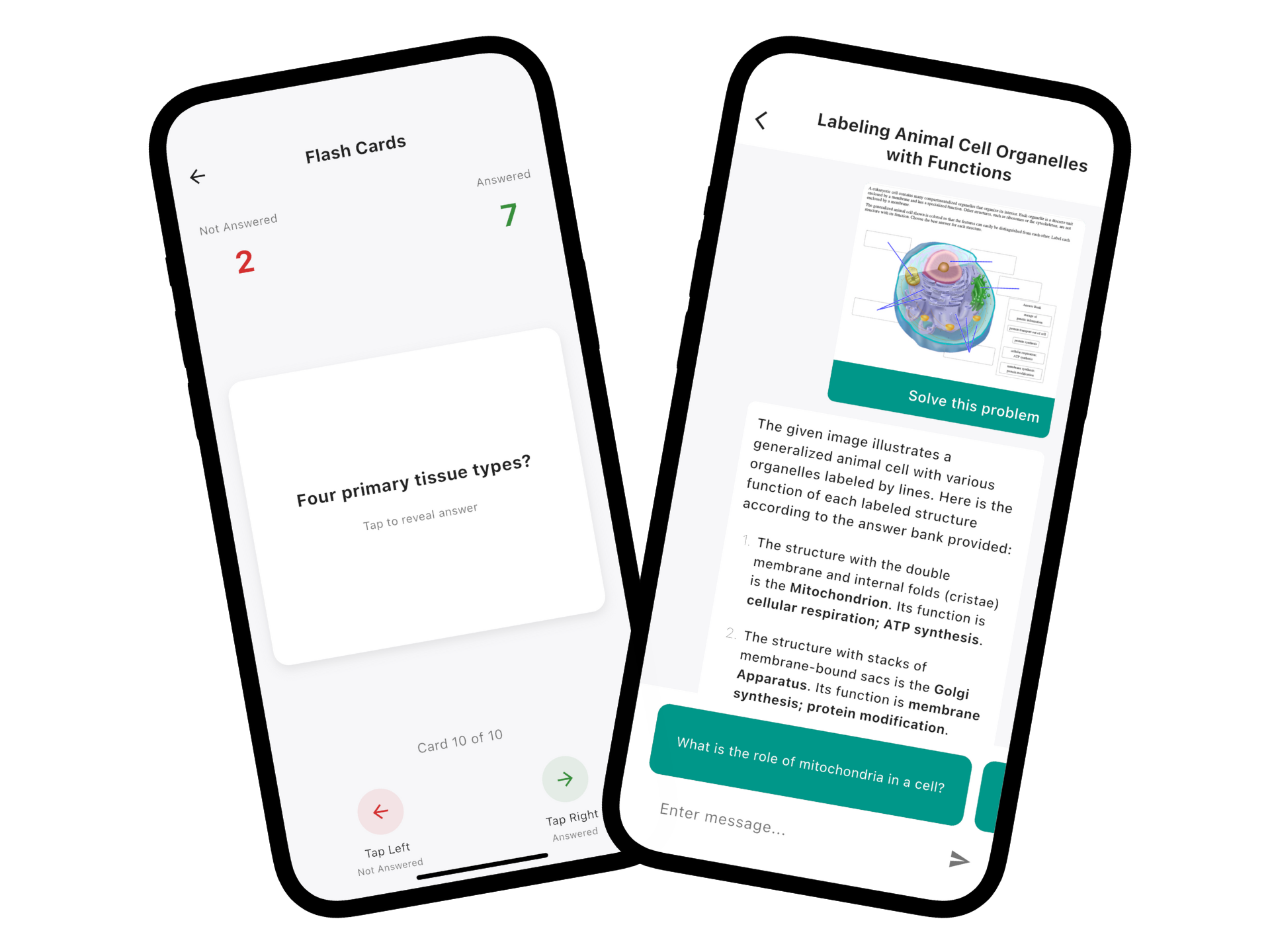Biology AI: Bionomy app interface showing biology question scanning and step-by-step solutions
