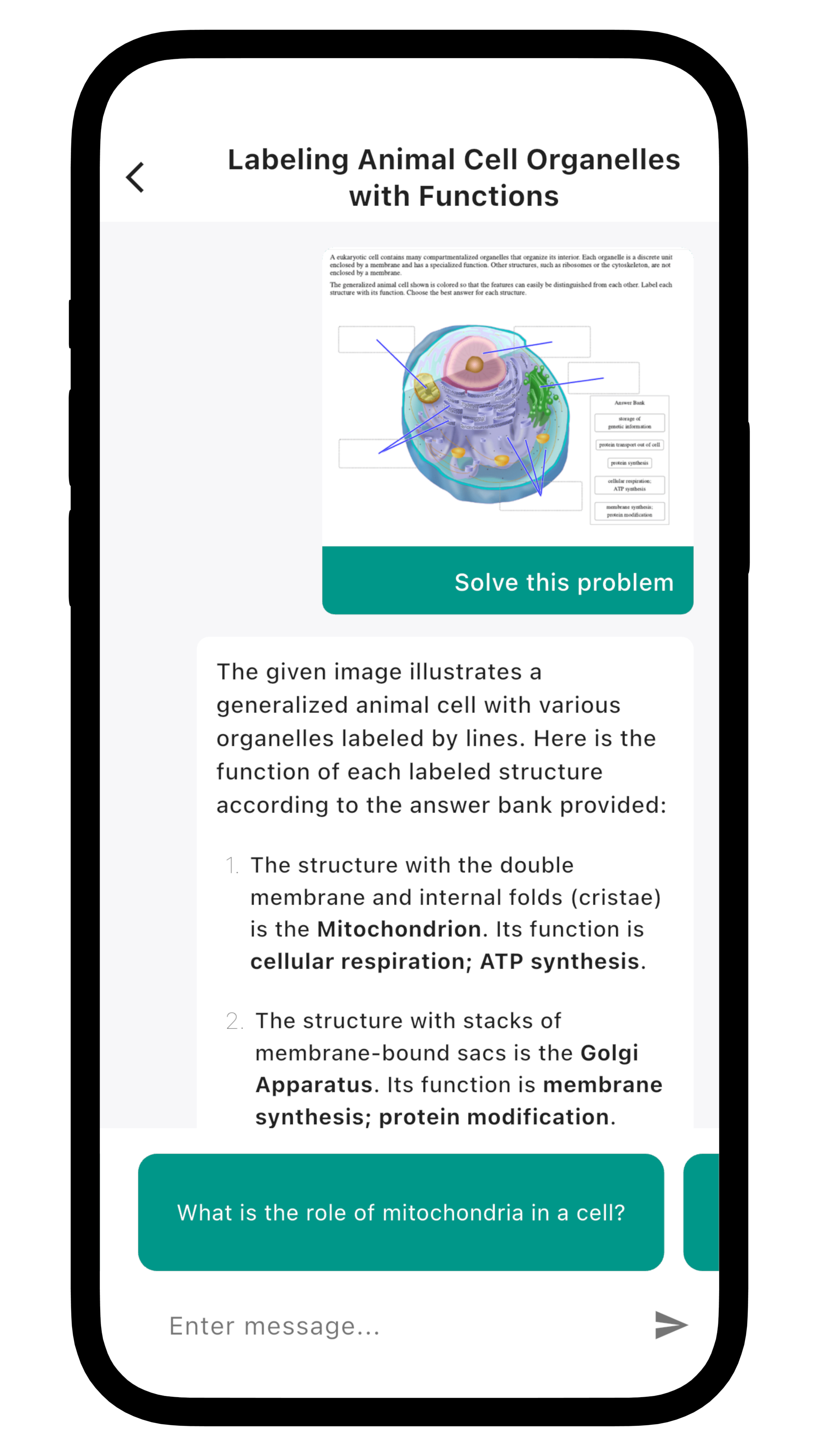 Using interactive biology study tools